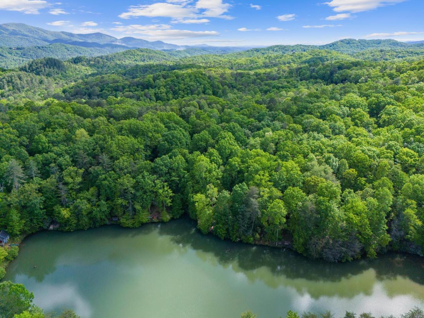 Cherry Lake Hideaway Blue Ridge Eksteriør billede