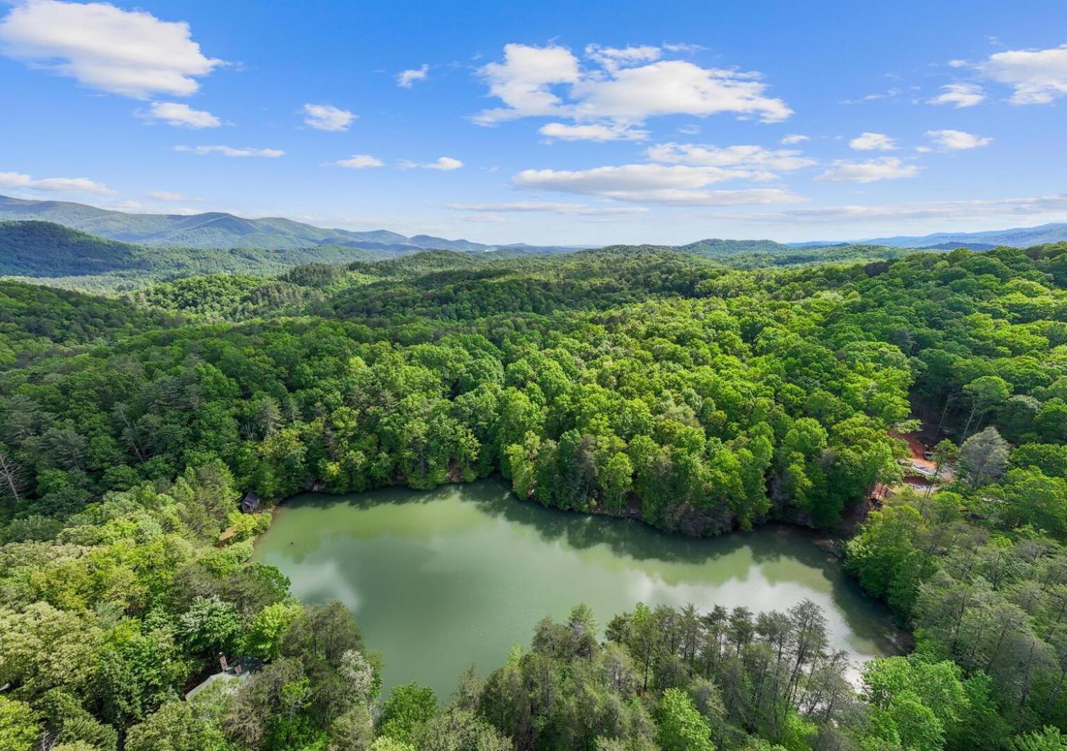 Cherry Lake Hideaway Blue Ridge Eksteriør billede